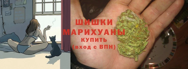 PSILOCYBIN Верхний Тагил