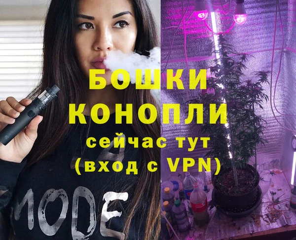 PSILOCYBIN Верхний Тагил