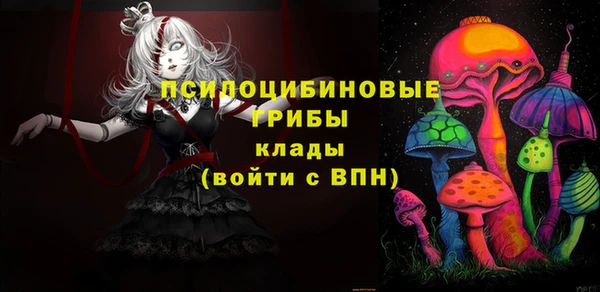 стаф Волоколамск